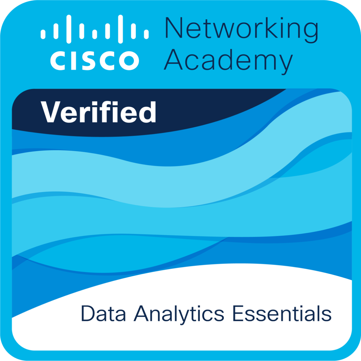 Data Analytics Essentials